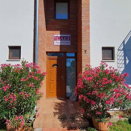 In - Balaton 35823 Apartment